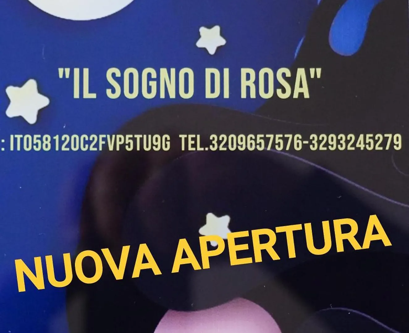 Il Sogno Di Rosa Alloggio Turistico Di Rosa Di Palma Fiumicino Guest house